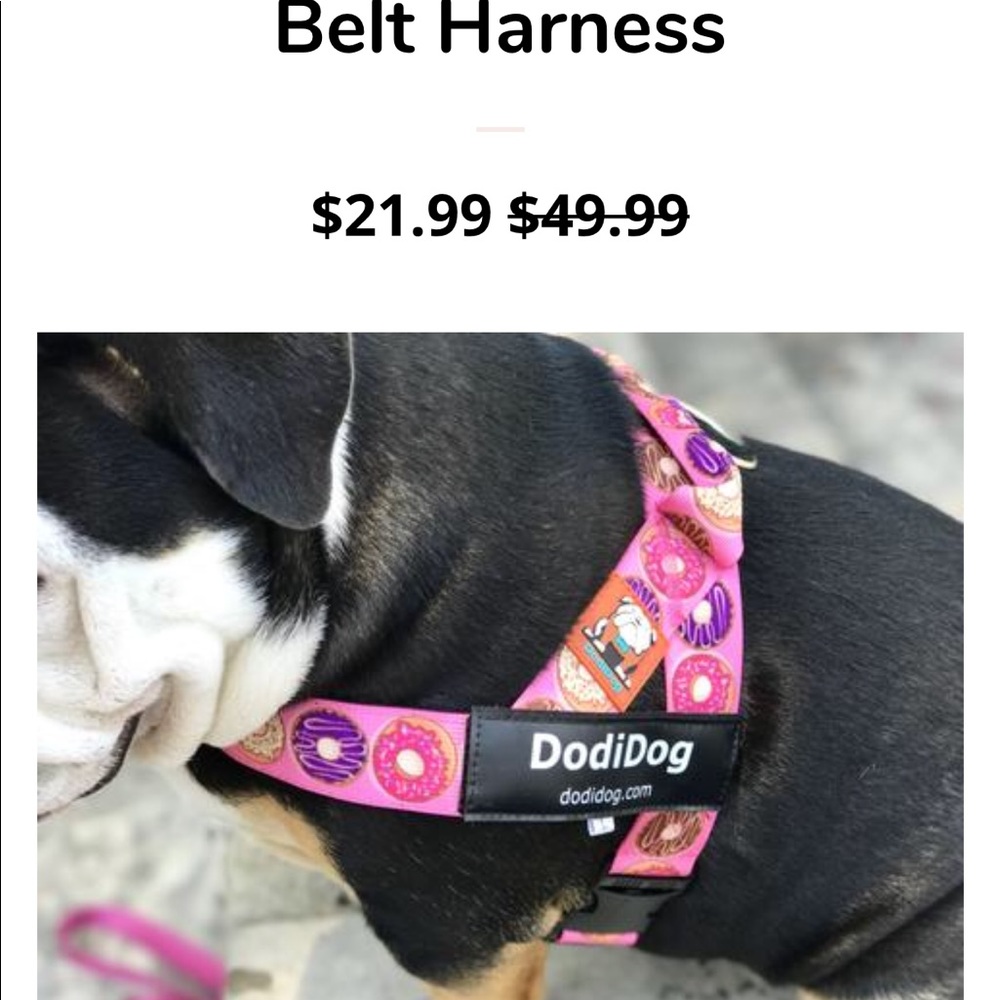 Dodidog donuts harness